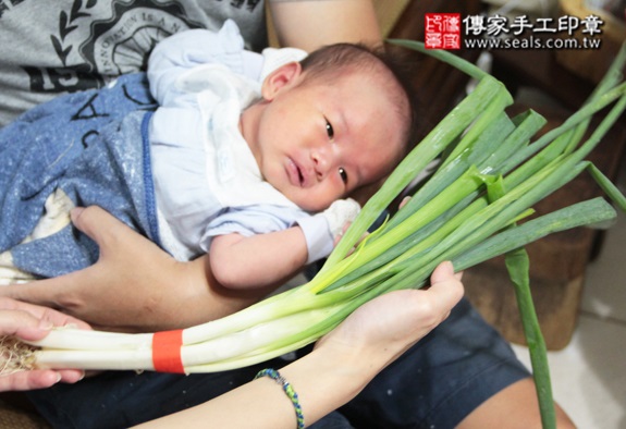 李寶寶(台北文山區到府嬰兒寶寶滿月剃頭理髮、免費到府嬰兒剃胎毛儀式吉祥話)。到府剃頭剃胎毛主持、專業拍照、DVD光碟、證書。★購買「臍帶章、肚臍章、胎毛筆刷印章」贈送：剃頭、收涎、抓周，三選一。2015.10.24 照片15